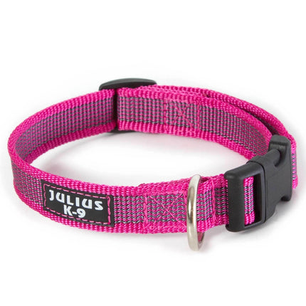 Julius K9 Color & Gray Collar - durable collar for dogs