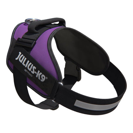 Julius - K9 IDC Powerharness Dark - high-quality harness, dog harness in dark purple