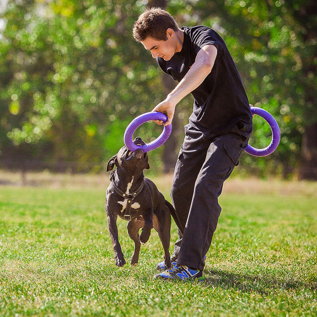 Puller Standard 28cm 2pcs - ring for large dogs, training toy