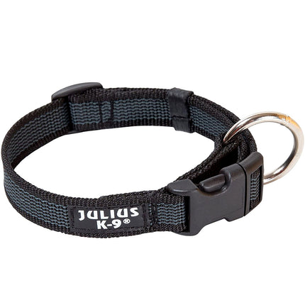 Julius K9 Color & Grey Collar - durable collar for dogs