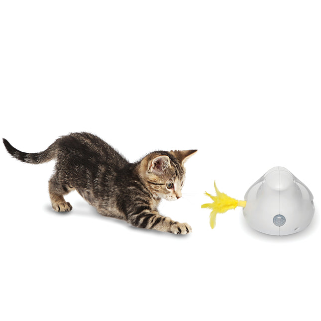 PetSafe Peek - A - Bird Electronic Cat Toy - motion sensor cat toy, feathered bird