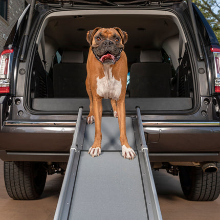 PetSafe Happy Ride Compact Telescoping Dog Ramp - compact telescoping ramp for dogs