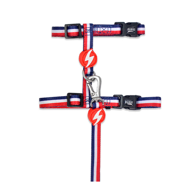 Dashi Stripes Red & Blue Cat Harness + Leash - cat harness and leash set, red and blue stripes