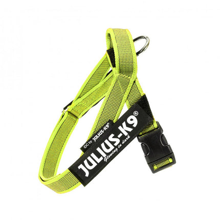 Julius - K9 Color & Gray Belt Harness Neon - Harness for Dogs, Neon - Mini - Mini