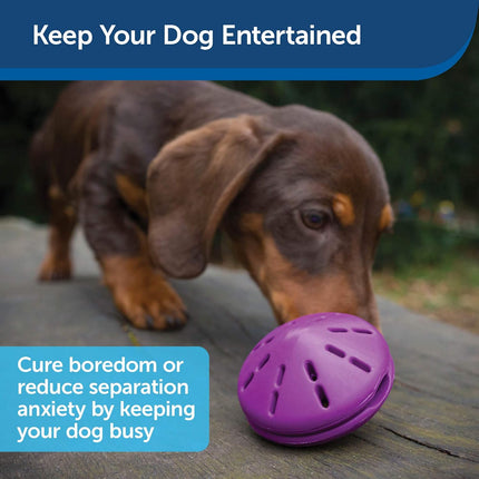 PetSafe Busy Buddy Twist'n Treat - Treat Dispensing Chew Toy for Dogs, UFO