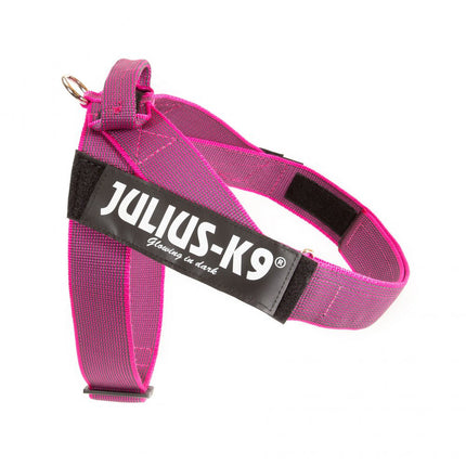 Julius - K9 IDC Color&Gray Belt Harness Pink - belt harness, dog harness, fuchsia