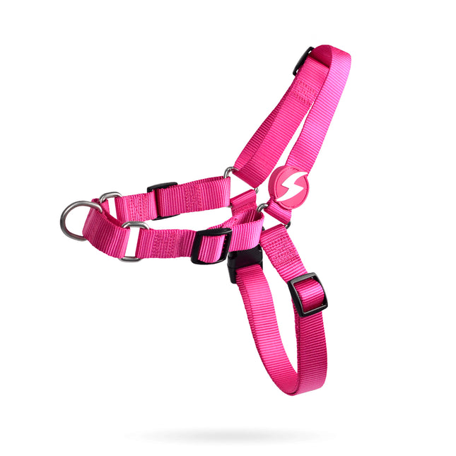 Dashi Solid Front Harness Pink - no-pull Norwegian harness for dogs, pink