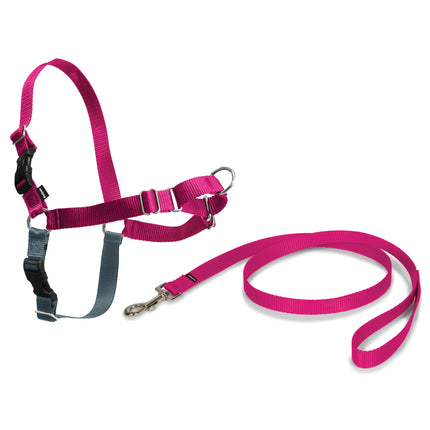 PetSafe Easy Walk Harness Raspberry - dog harness and leash set