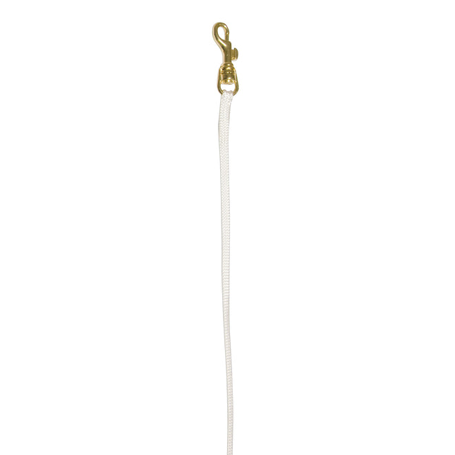 Show Tech Nylon Lead With Gold Hook 0.7x84cm - professional dog lead, white with a gold clip.