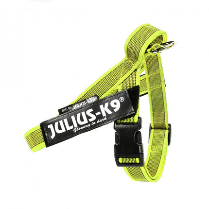 Julius - K9 Color & Gray Belt Harness Neon - Harness for Dogs, Neon - Mini - Mini