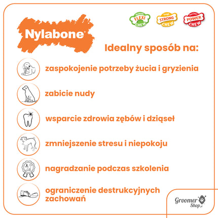 Nylabone Moderate Small Dog Value Pack - chew toy set for small dogs, flavored with bacon and chicken