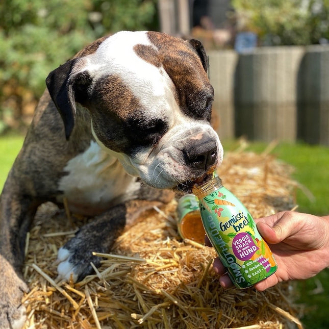 SmoothieDog Vege - Love - vegan smoothie for dogs