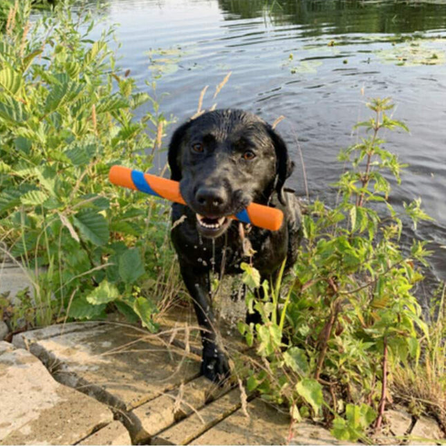 Chuckit! Ultra Fetch Stick - rubber fetch toy for dogs