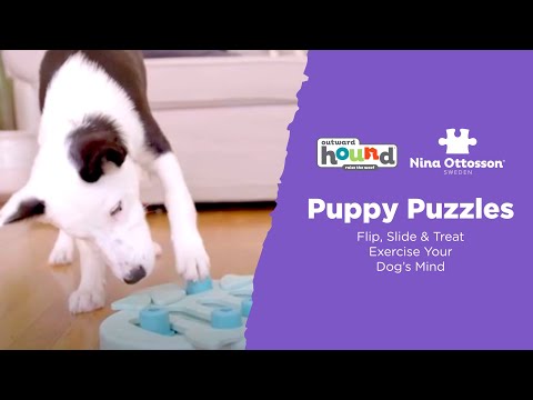 Nina Ottosson Puppy Smart Level - easy interactive game for puppies, level