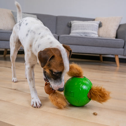 Nina Ottosson Dog Snuffle N' Treat Ball Level Small - Snuffle treat ball for dogs, with 4 squirrels, small level