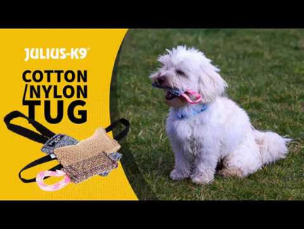 Julius - K9 Cotton Tug One Hand 20x5.5cm - sturdy tug toy for dogs with a non-slip handle