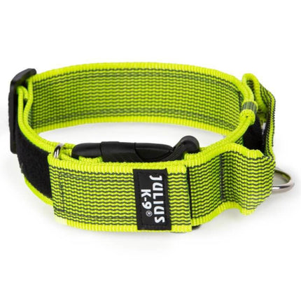 Julius K9 Color&Gray Collar with Handle - dog collar with handle and safety lock