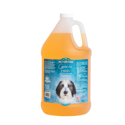 Bio - Groom Groom'n Fresh - dog odor eliminating shampoo, concentrate 1:4