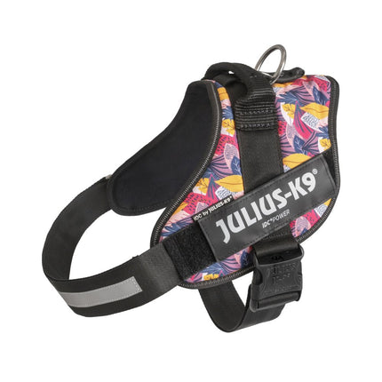 Julius - K9 IDC Powerharness Leaf2 - high-quality harness for dogs with an interesting design