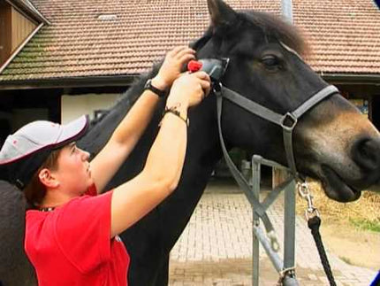 Heiniger Progress Style 80W - powerful, professional clipper for horses and cattle, with a complete set of blades 31/15