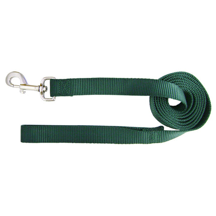 Hamilton Single Thick Leash Long - nylon leash for medium and large breed dogs, width 25mm, length