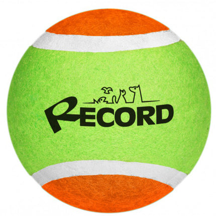 Record Dog's Tennis Ball - tennis ball for dogs