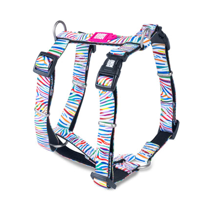 Max&Molly H - Harness Magic - colorful harnesses for dogs and puppies, adjustable