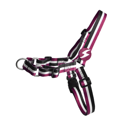 Dashi Stripes Purple & Black Front Harness - no-pull Norwegian harness for dogs, purple and black stripes