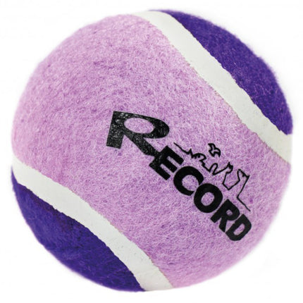 Record Dog's Tennis Ball - tennis ball for dogs