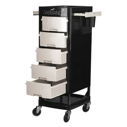 Gabbiano FT65 - Grooming cabinet on wheels 30x40x92, with drawers, plastic assistant