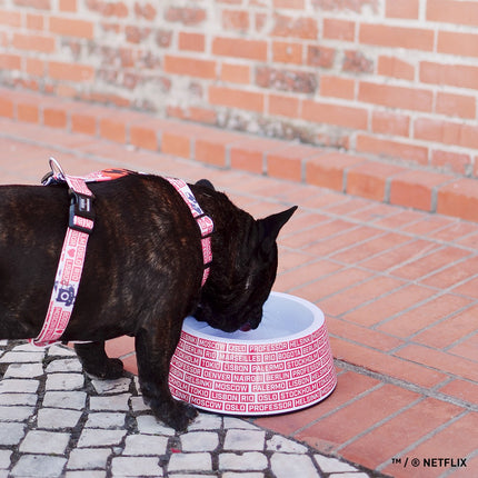 Dashi La Casa De Papel Gang Bowl - melamine bowl for dogs and cats, inspired by the series Money Heist.