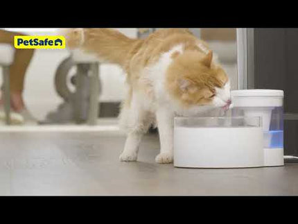 PetSafe Outlast Pumpless Pet Fountain 1.7L - fountain for cats and dogs, innovative pump-free technology