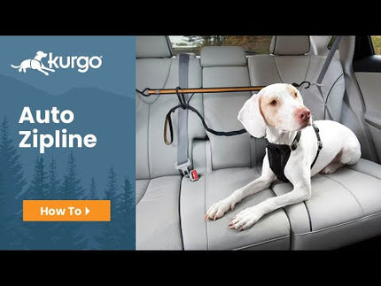 Kurgo Auto Zip Line - dog seat belt for the back seat of the car