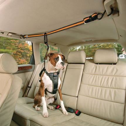 Kurgo Auto Zip Line - dog seat belt for the back seat of the car