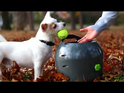 PetSafe Automatic Ball Launcher - automatic ball launcher for dogs, with motion sensor