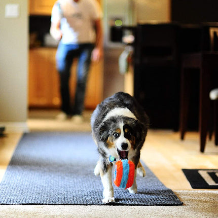 Chuckit! Indoor Roller - Quiet Toy for Dogs