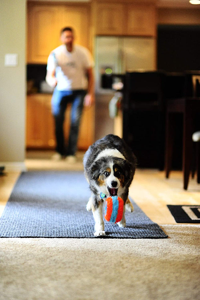 Chuckit! Indoor Roller - Quiet Toy for Dogs