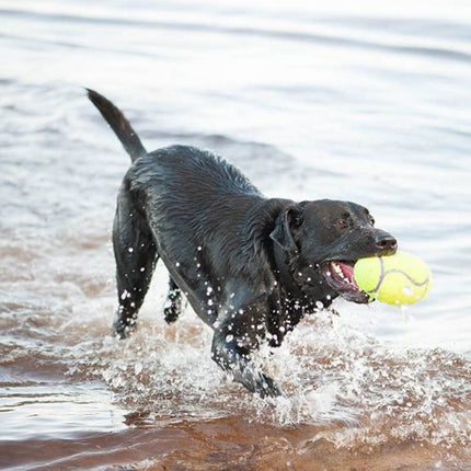 KONG AirDog Squeaker Football - squeaky toy for dogs, football, floating