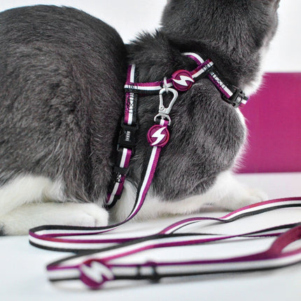 Dashi Stripes Purple & Black Cat Harness + Leash - cat harness and leash set, purple and black stripes