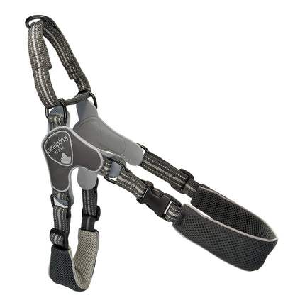 Coralpina Fiames Harness - lightweight adjustable harness for medium and large dogs