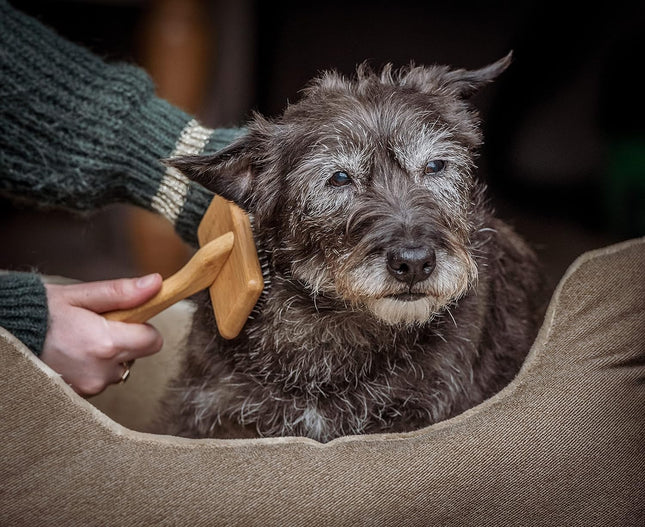 Mikki Bamboo Small Soft Pin Slicker - Bamboo Poodle Brush