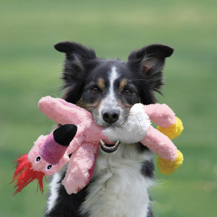 KONG Wild Knots Birds Toucan - toucan for dogs, with internal rope and squeaker