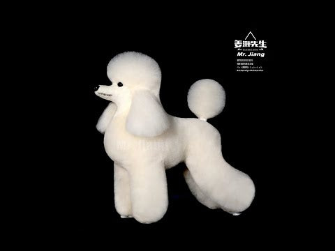 Mr. Jiang Teddy Model Dog - grooming practice mannequin, without fur