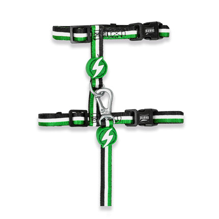 Dashi Stripes Green & Black Cat Harness + Leash - harness and leash for cats, set, green and black stripes