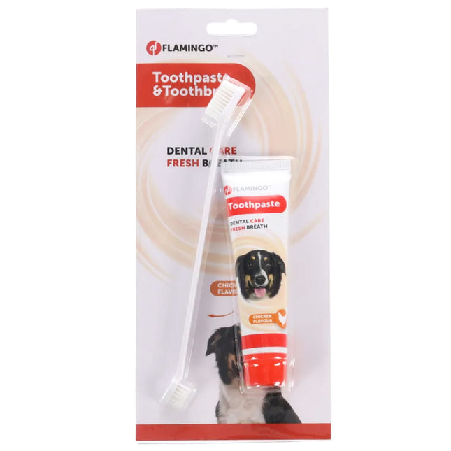 Flamingo Toothpaste & Toothbrush Dafra Tube - oral hygiene set for dogs and cats