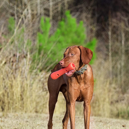 Dexas Off-Leash Tumbler - Dog Fetch Toy with Carabiner