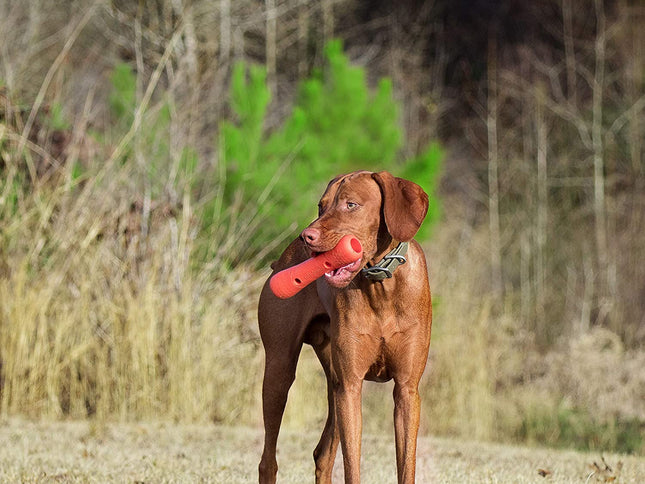 Dexas Off-Leash Tumbler - Dog Fetch Toy with Carabiner