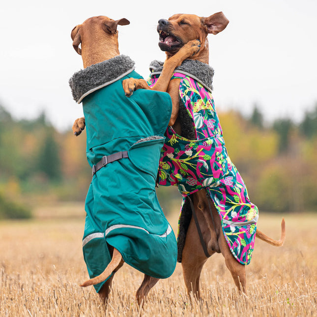 Toppa Pomppa Harness Forest - very warm winter jacket for dogs, with a harness opening