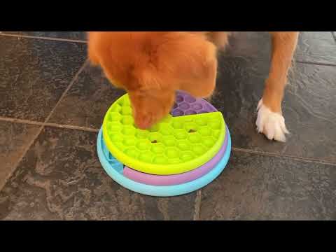 Nina Ottosson Puppy Lickin' Layers Level - educational game and slow feeder bowl for puppies and small dogs, level