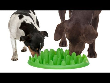 Northmate Green Slow Feeder - slow feeding bowl for dogs of all breeds - green